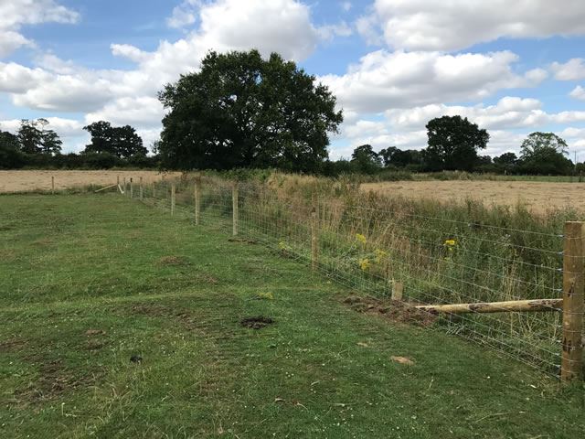 Livestock fencing